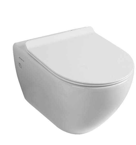 Swirl-Flush' Wall-Hung WC with Bidet Seat Cover